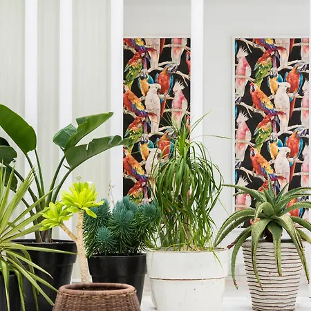 Hotel Gold By Marina - Adults Only 4*