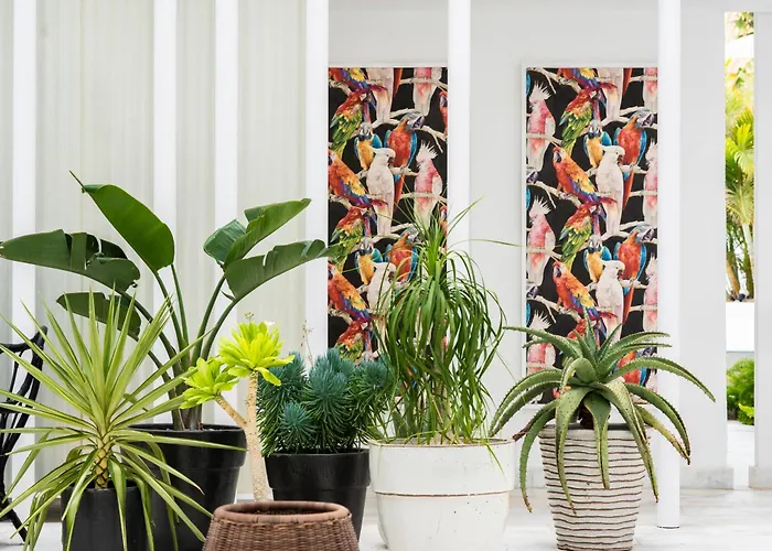 Hotell Gold By Marina - Adults Only 4*