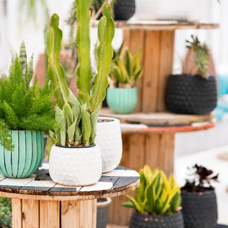 Gold By Marina - Adults Only Hotel 4*