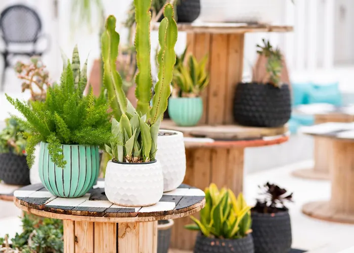 Gold By Marina - Adults Only 酒店 4*